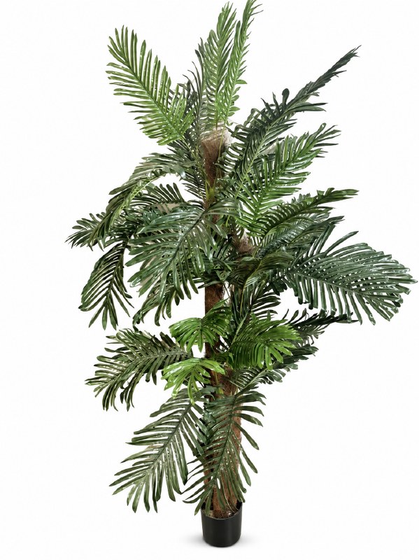Picture of Artificial Palm Tree 180cm x 1